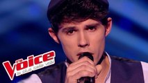 Bruce Springsteen – Dancing in the Dark | Lilian Renaud | The Voice France 2015 | Épreuve ultime