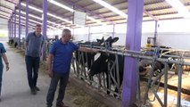 Devlet desteğiyle kurulan kooperatif yıllık 600 ton süt üretiyor - NİĞDE