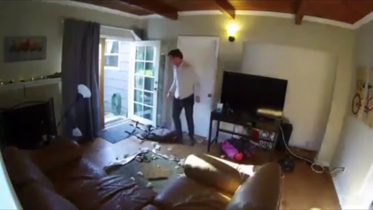 cute animals make you laugh