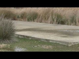 Aeroporti i Vlorës, tender nga fillimi - Top Channel Albania - News - Lajme
