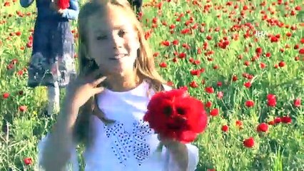 Muş Havasını Kırmızı Gelincikler Kapladı