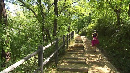 사라질 위기 서울 절반 면적 '공원 부지' 살린다 / YTN