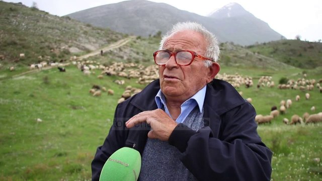 Shtegëtimi, tradita shekullore e blegtorëve të jugut - Top Channel Albania - News - Lajme