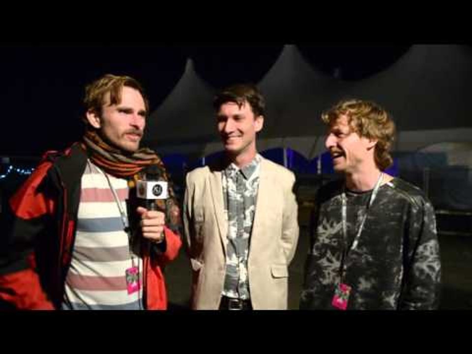 Art vs Science: Interview at Falls Festival 2015