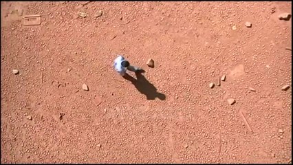 Toka po degradon - Top Channel Albania - News - Lajme