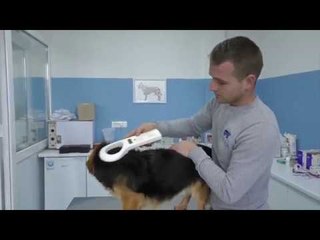 Rëndësia e veterinarit-dita botërore e veterinarisë-Lajme
