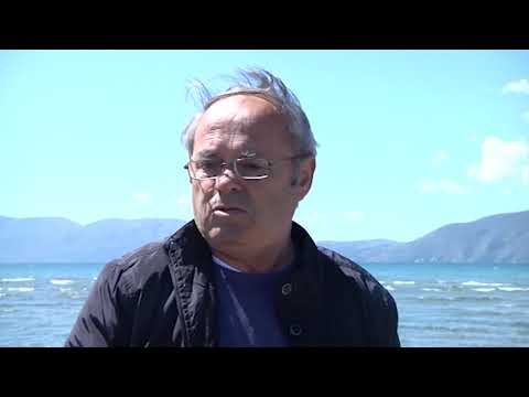 BRESHKA 'KARETA KARETA' GJENDET E NGORDHUR NË PLAZHIN E VLORËS