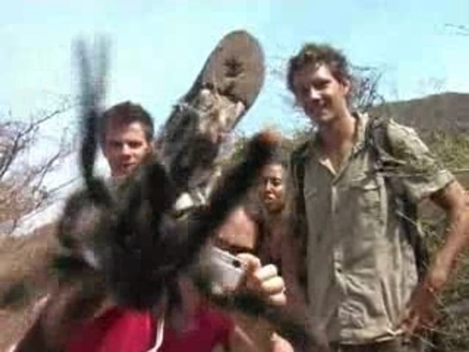 El yaque windsurfing 3/3