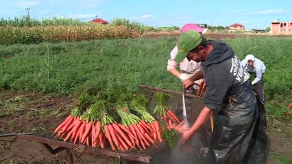 Të punësuar, 1.2 mln shqiptarë. Më pak se gjysma me pagë - Top Channel Albania - News - Lajme