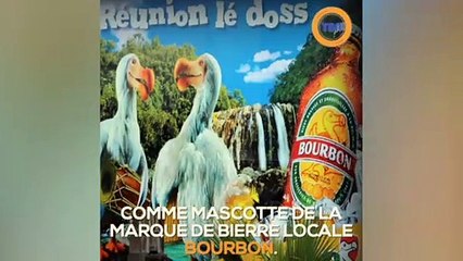 Ces espèces animales qui ont disparus...