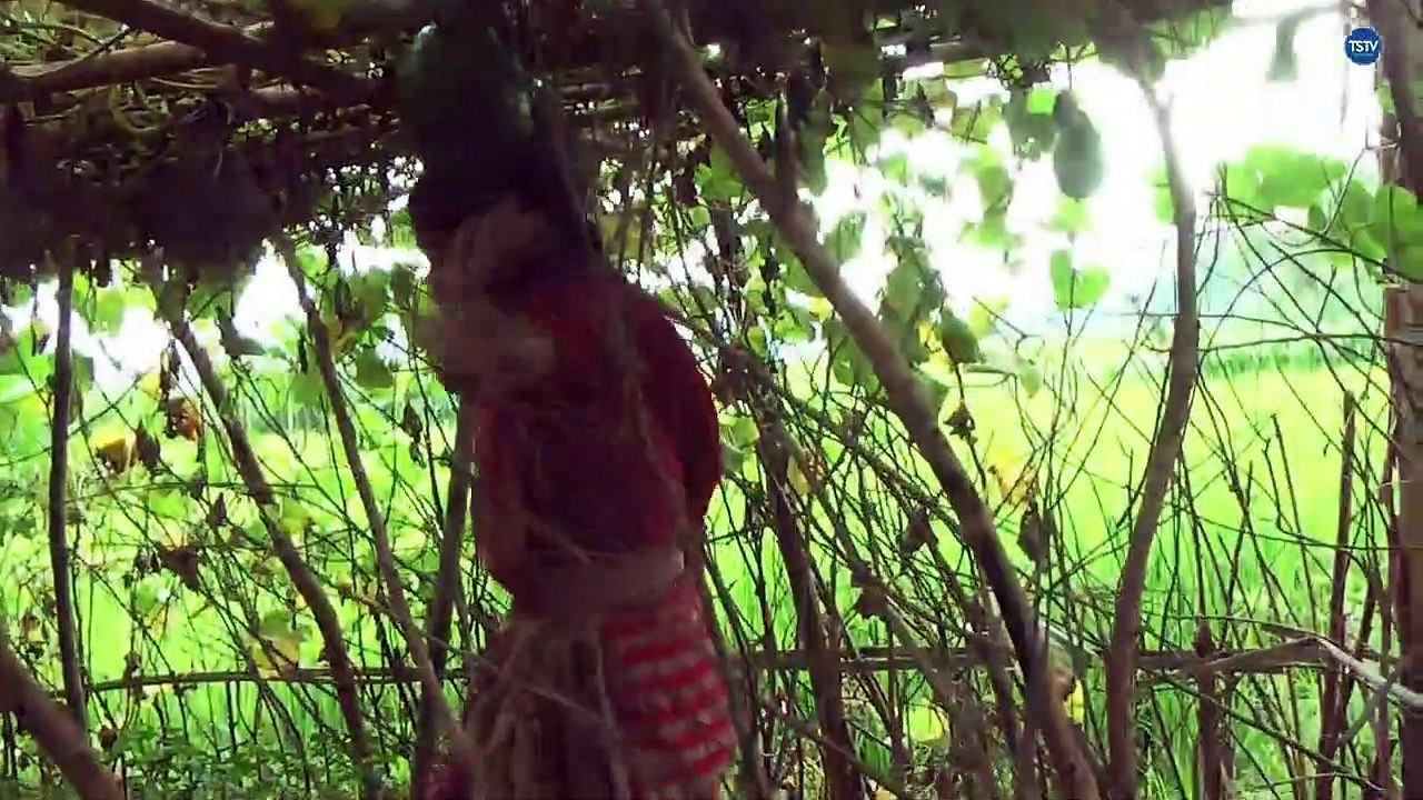 Personal Security all over world makes more Noises movements