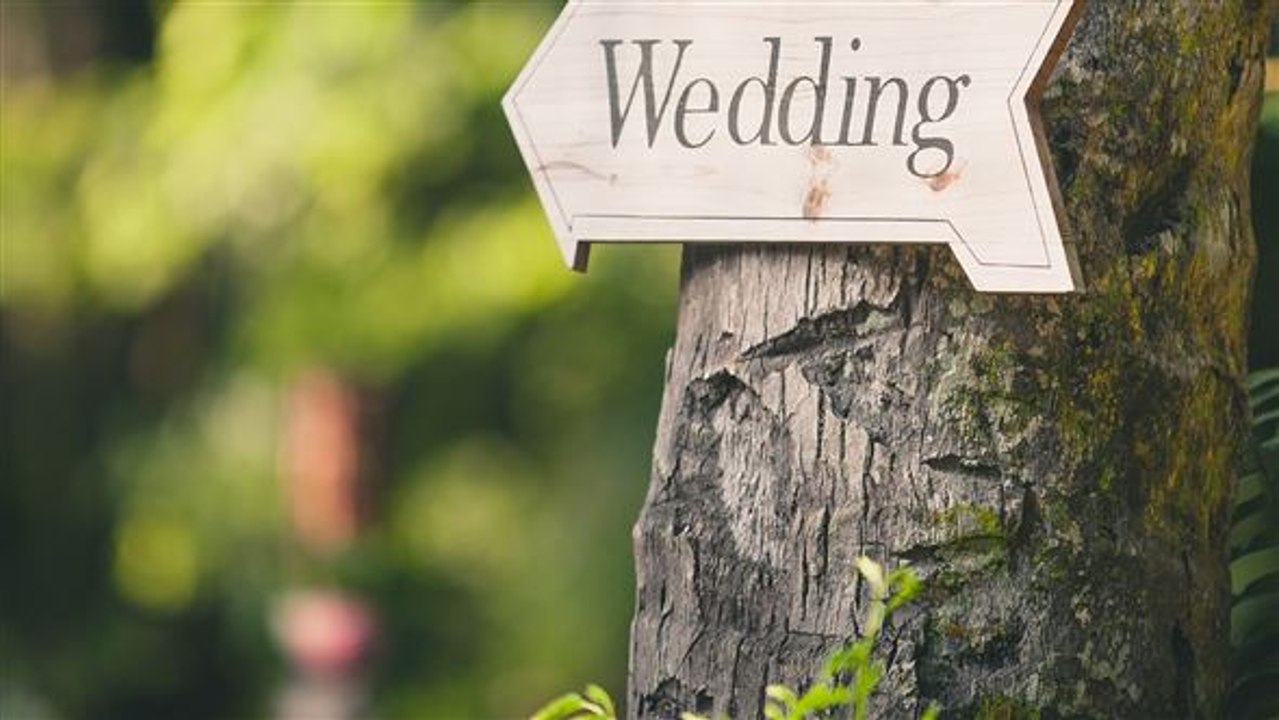 Die teuersten Hochzeitssänger