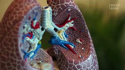 Novo programa do Google identifica câncer de pulmão e promete ser "mais eficaz que médicos"