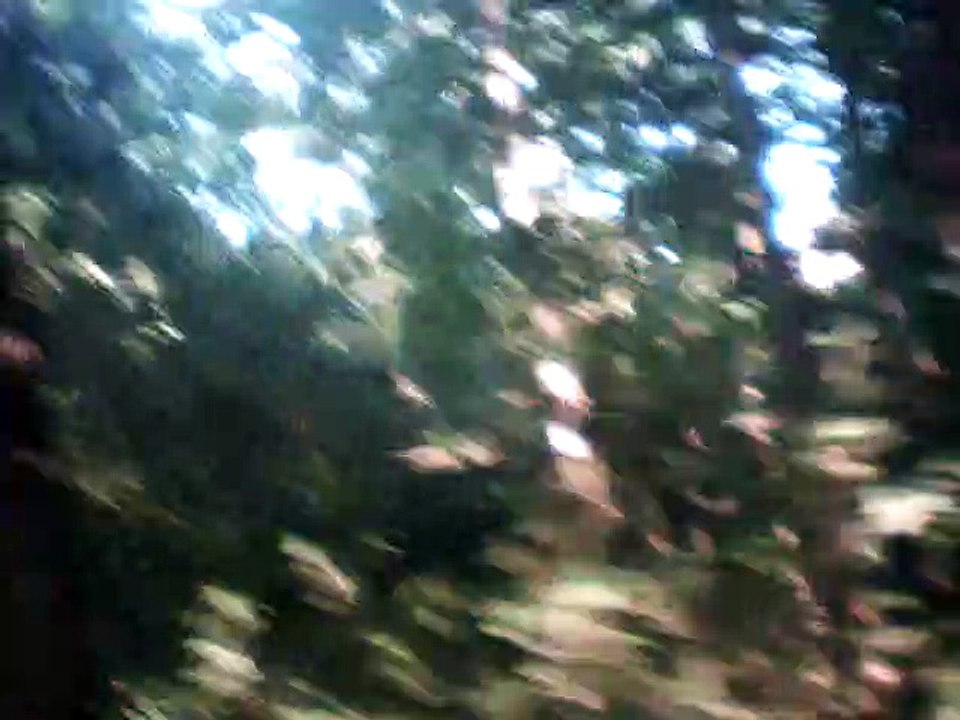 w poniedzialek rano