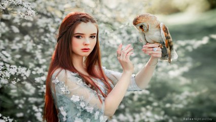 Celtic Music - Owls Worship |  1 Hour - 4K, Beautiful Celtic music