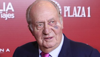 Crónica Rosa: Juan Carlos I se retira de los actos oficiales