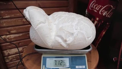 7 kilo 125 gramlık dev mantar bulundu