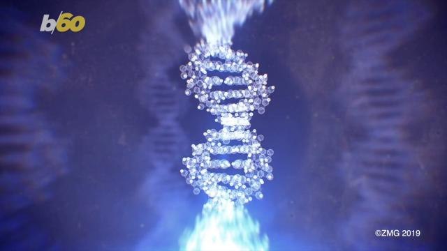 Signs of Extraterrestrial Life Discovered in South African Mountains