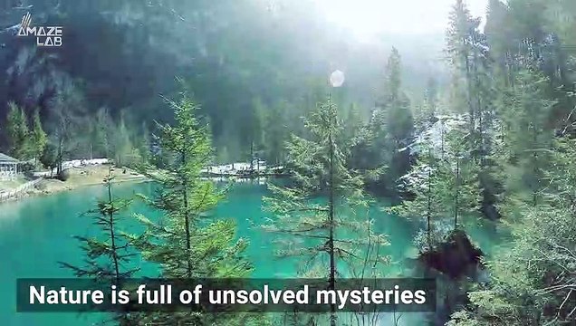 Perfectly Round New Zealand Boulders May Have Formed Like a Pearl