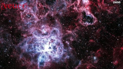 An Artist Captured A Stunning Image Of The Tarantula Nebula