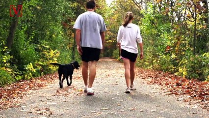 Walk Fast? You May Live Longer According to New Study
