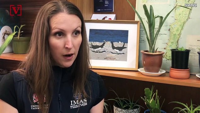 Australia’s Cocos Islands are ‘Drowning’ Under Mountains of Single Use Plastics