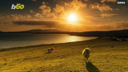 The Most Popular Road trip Destination is Not The Eiffel Tower