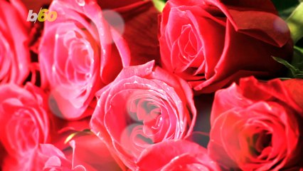 Police Sketch Of Suspected Robber Generates Many Famous Comparisons Including Jon Snow & Michael Jackson!