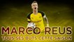 Borussia Dortmund : Les 17 buts de Marco Reus, le roi de la reprise de volée