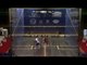 Squash : El Gouna International 2014 - Semi Final Roundup Gaultier v Elshorbagy