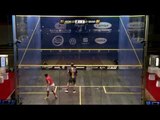 Squash : El Gouna International 2014 - Rd1 Roundup pt5 (Glass court)