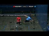 Squash: Quick Hit! EP141: Gaultier v Pilley :World Championship 2014