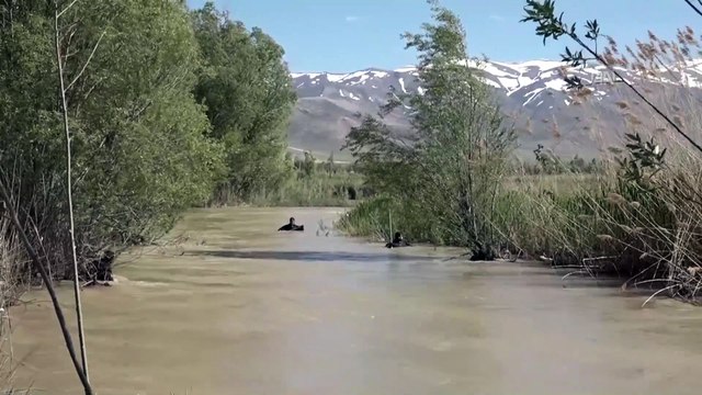 Derede kaybolan liseli genci özel ekip de arıyor - VAN