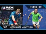 Squash: Quick Hit! Ep. 187 - Rodriguez v Matthew - NetSuite Open 2015