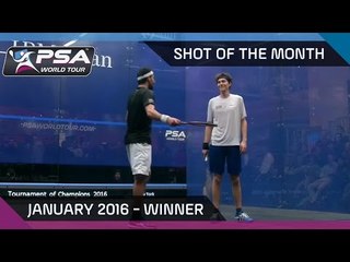 Squash: Shot of the Month - Jan '16: Cameron Pilley Outrageous Slam