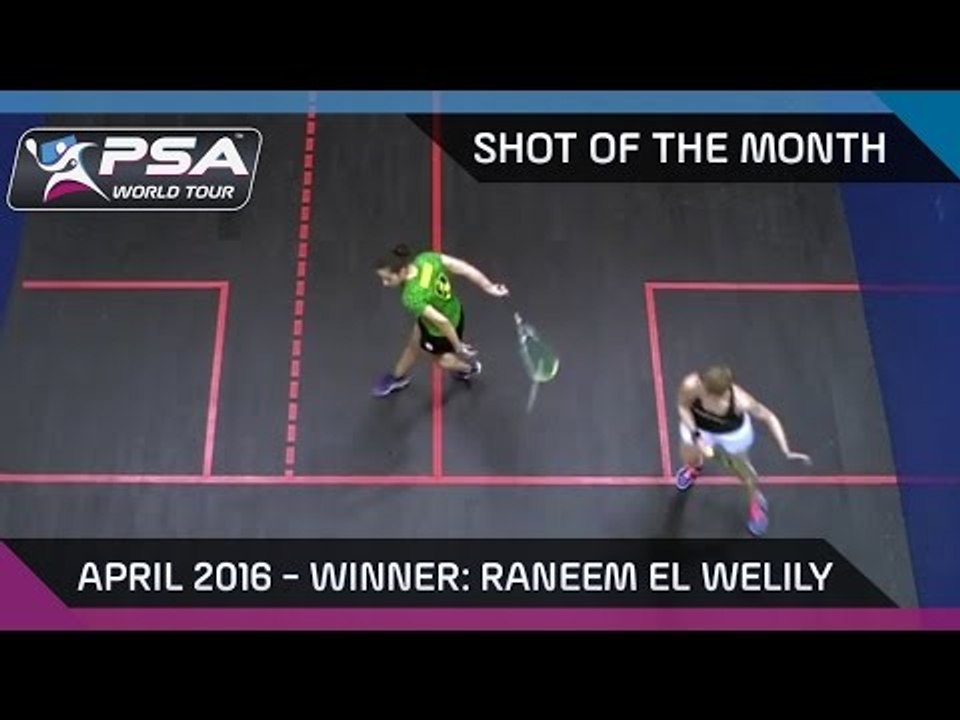 Squash: Shot of the Month - April '16: Winner - Raneem El Welily