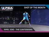 Squash: Shot of the Month - April '16: The Contenders