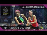 Squash: Waters v El Tayeb - Al-Ahram Open 2016 - QF Highlights