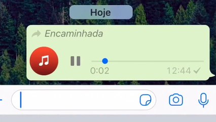 Mãe envia áudio para o filho no WhatsApp e quase acaba por ter um colapso