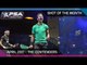 Squash: Shot of the Month April 2017 - The Contenders