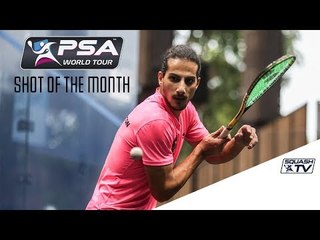 Squash: Shot of the Month - September 2017 - The Contenders