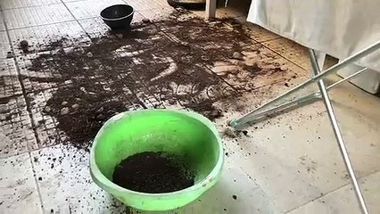 Naughty Dog Pretends to Know Nothing