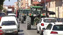 Miles de agricultores se suman a la tractorada por la crisis del aceite de oliva en Úbeda (Jaén)