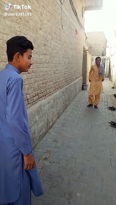 Funny Clips
