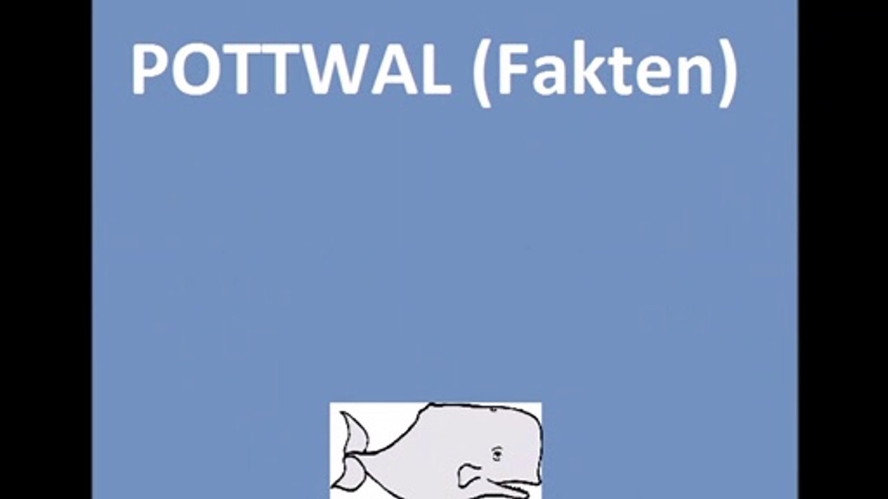 Pottwal FAKTEN
