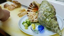 Street Food Market Discovery | Japanese Street Food - GIANT TRUMPET CONCH Sashimi Okinawa Seafood Japan