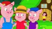 Les Trois Petits Cochons | dessin animé en français - conte pour enfants | version courte