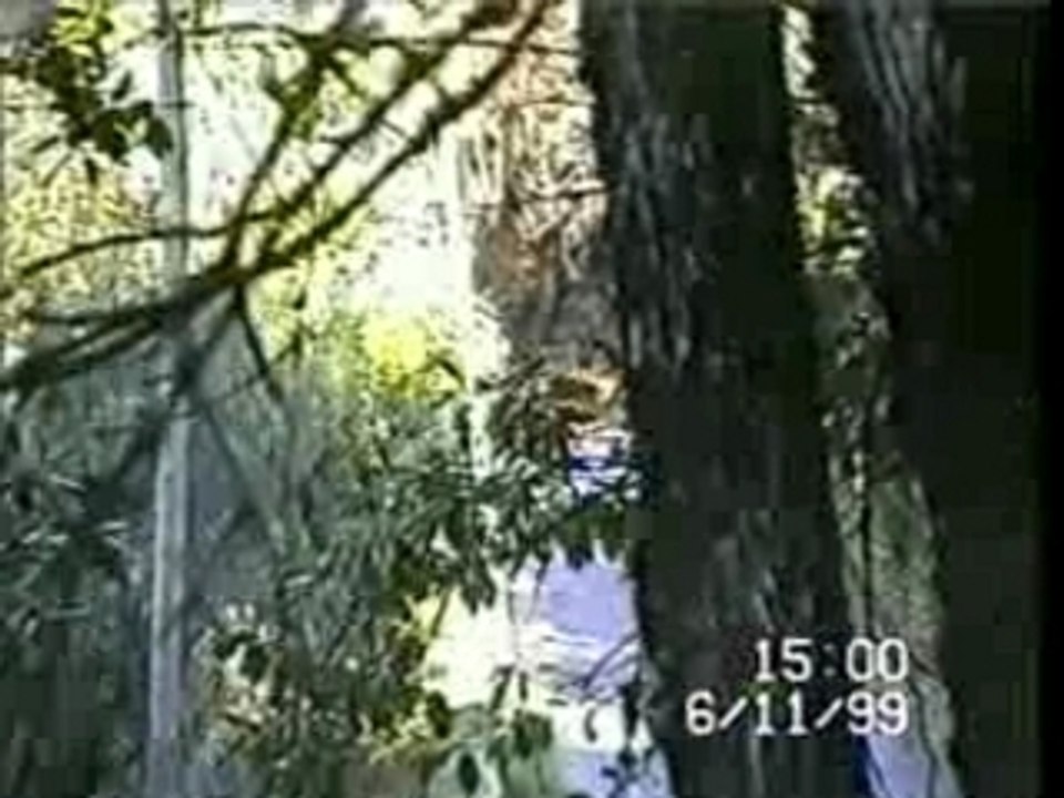 Critérium des Cévennes 1999 - Partie 2