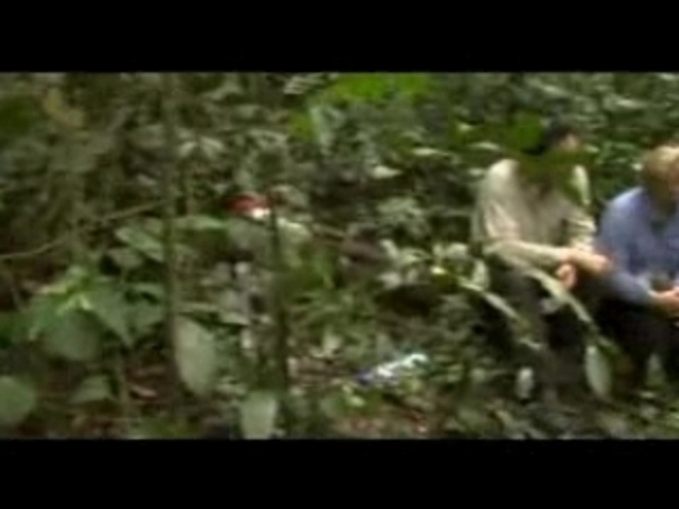 RDV EN TERRE INCONNUE AU CAMEROUN MURIEL ROBIN 2