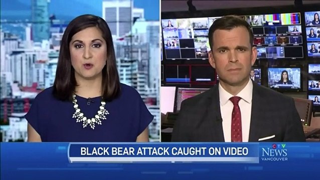 B.C. bear attack- Woman says she survived thanks to dog!